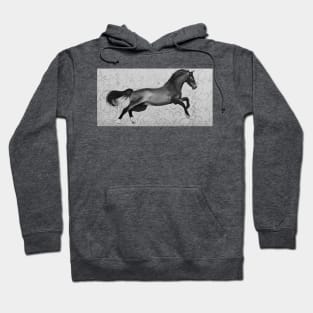 horse Hoodie